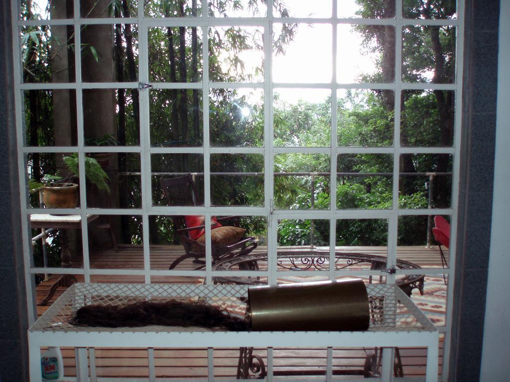 B&B Vitoria Regia 里约热内卢 客房 照片