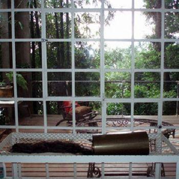 B&B Vitoria Regia 里约热内卢 外观 照片